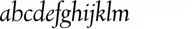 Village Std Italic