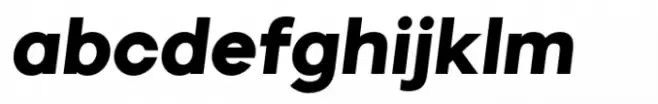 Vilonti Extra Black Italic