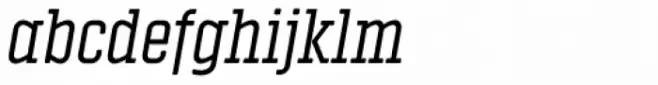 Vin Slab Pro Italic
