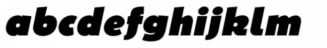 Vinice Black Italic