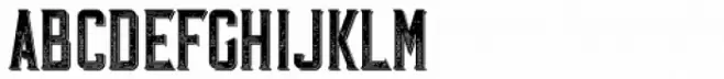 Vintage Whiskey Full