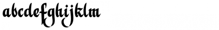 Violant Regular