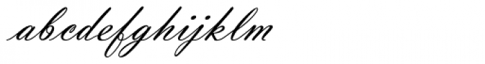 Violin Script Pro