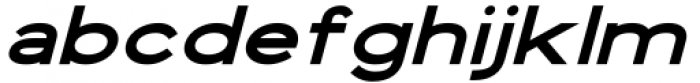 Vista Nordic Black Italic