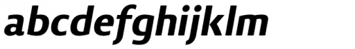 Vitali Neue Black Italic