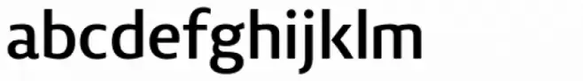 Vitali Neue Bold