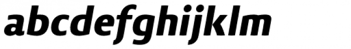 Vitali Neue Heavy italic