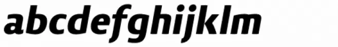 Vitali Neue Heavy italic