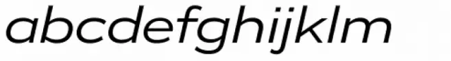 Vito Wide Italic