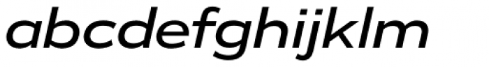Vito Wide Medium Italic