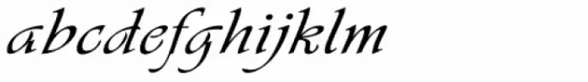 Vivaldi B CY
