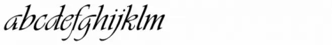 Vivaldi D