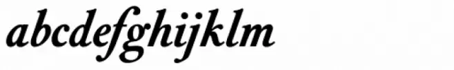 Vizille Bold Italic