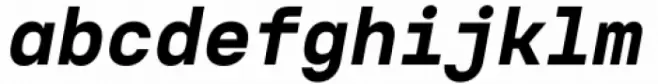 Voyager Mono Black Italic
