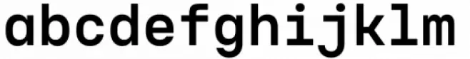 Voyager Mono Bold Alt