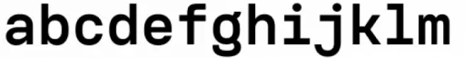 Voyager Mono Bold