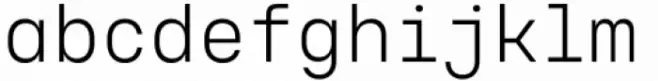Voyager Mono Light Alt