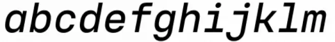 Voyager Mono Medium Italic