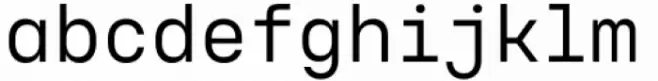 Voyager Mono Regular Alt