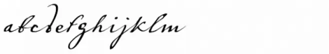 Vuk Regular