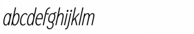VVDS Fifties SCond Thin Italic