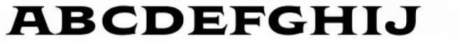 Wakerobin Extended Bold