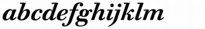 Walbaum 10 Pro Bold Italic