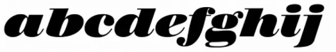 Walbaum 18 pt Heavy Italic