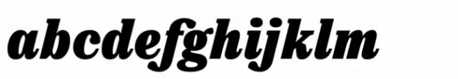 Warkat Black Italic