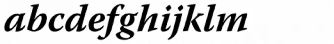 Warnock Pro Bold Italic