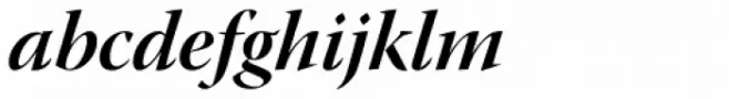 Warnock Pro Display Bold Italic