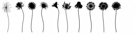 We Love Nature Stems Two