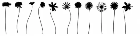 We Love Nature Stems