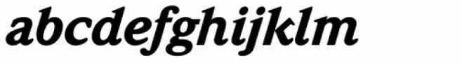 Weidemann Pro Black Italic