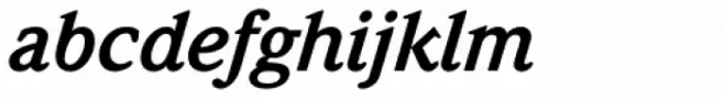 Weidemann Pro Bold Italic