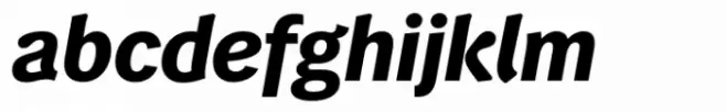 Wendelin Pro Bold Italic