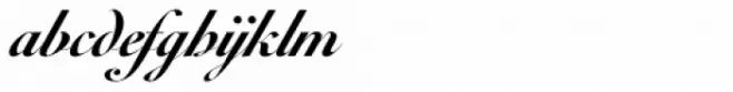 Werdet Script Bold