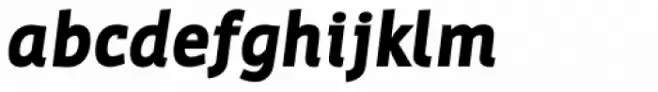 Werk Black Italic