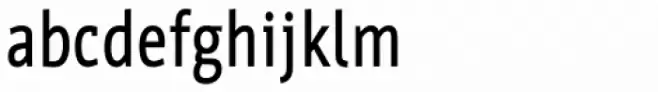 Werk Condensed Bold