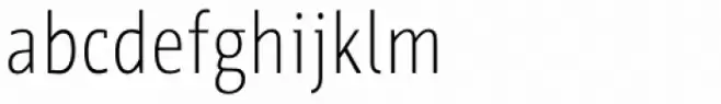 Werk Condensed Light