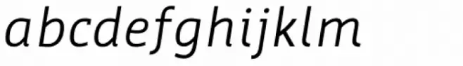 Werk Italic