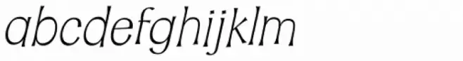 Whisk Italic