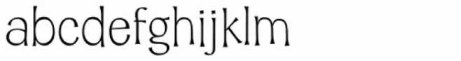 Whisk