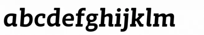Whiteblack Bold Oblique