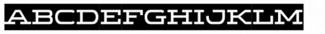 Wide Display Regular Ribbon