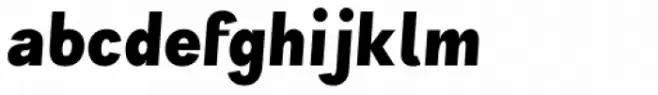 Wien Pro Oblique Bold
