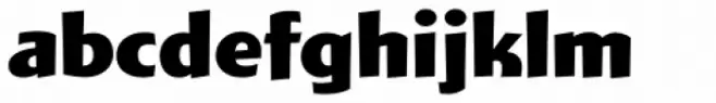 Wigwag Bold