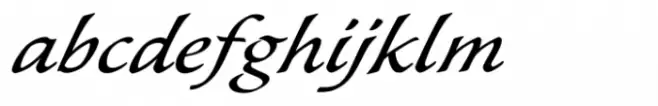 Wiki Expanded Italic