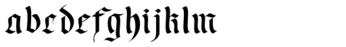 Wilde Fraktur Pro
