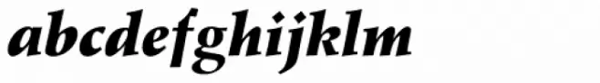 Wile Std Black Italic